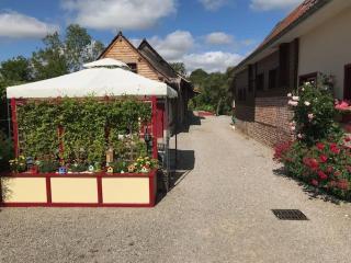 La Grenouillère - Miannay - 3