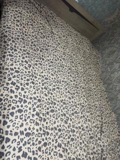 Nellyhome - 0