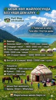 Yurt On The Mountain -With us you will feel the spirit of nomads - 6