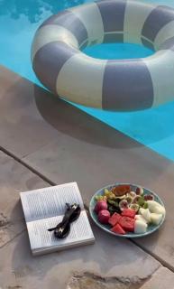 Il Trullo di Ben - with Private Pool in Locorotondo - Perfect for Couples & Quiet Escapes - Dogfriendly - 5