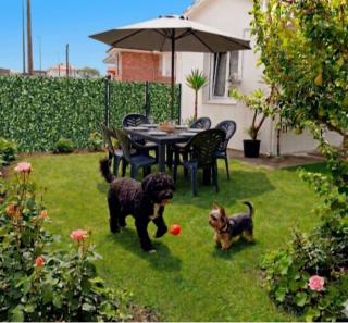 La Casita de Suances 1 - Suances - 7