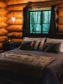 Avlägsen Chalet - Deming - 6