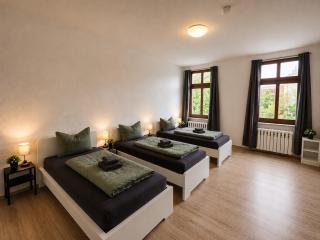 YourFavoriteBed Monteurunterkunft Zwickau Zentrum - WLAN, Waschmaschine Zentral - 5