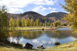Prospector 134 - Ketchum - 7
