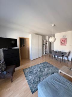 large mehmet apartment - 4