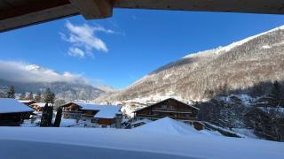 Portes du Soleil T3 "comme un chalet" direct access Morzine Avoriaz - 4