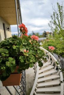Apartment Fer House - 1