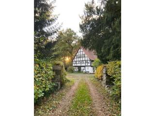 Watermill in a secluded location - 3
