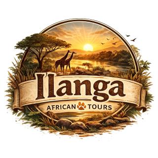 Ilanga African Tours - 1