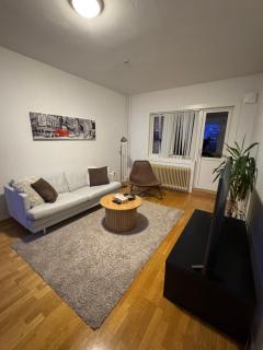 Cozy and Modern Apartment in Oslo - 4