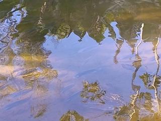 Sítio com piscina, churrasqueira, lareira, fogueira e riacho - 8