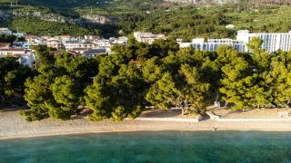 OLIVA by Fratelli Residence - 2