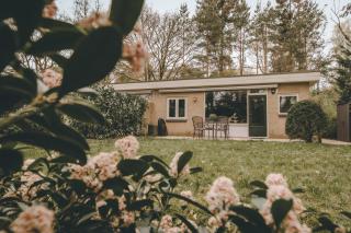 Bosnest De Specht, een knus boshuisje met privetuin in Otterlo nabij Veluwepark - 7