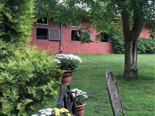 Holiday Home in Kirchdorf with Swimming Pool,Terrace, Garden - 2