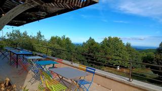 Maison de vacances 12 chambres et piscine - Colognac - 2
