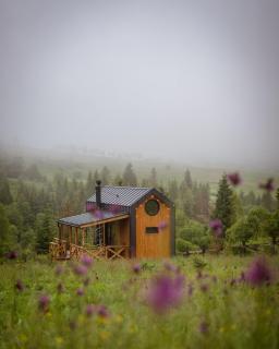 Silence cabin - 0