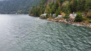 Whales house - 6