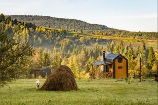 Silence cabin - 1