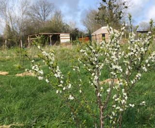 Les Jardins Vert Framboise yourte et chambres d'hôtes - 0