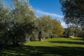 La Sassaia - 4