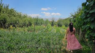 Holidayhome with 100% bio food - 4