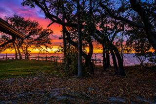 Cozy Bayfront Log Cabin! Fishing Pier, Swim Dock! - 6