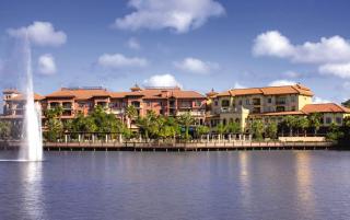Bonnet Creek Resort 3BR Apartment - 7