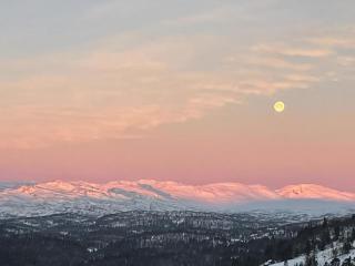 Mountain Gem With Ski Inout In Rauland - 9