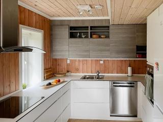 Mountain Gem With Ski Inout In Rauland - 6