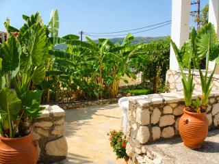 Elichri Theros Studios - 5