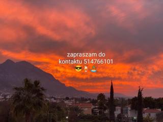 Domek Okuninka Arczi - 7