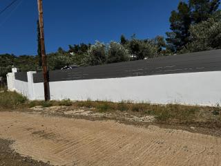 Domus Villa - 5