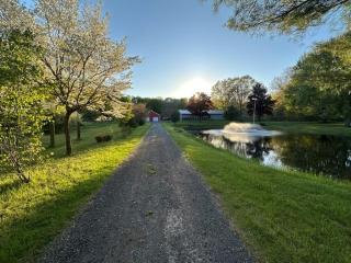 The Pond House Retreat - 8