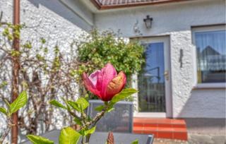 Gorgeous Home In Waren Müritz - 7