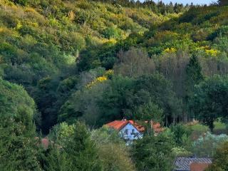 Ferienwohnung Hanfdell am Bostalsee, 90 qm, großer Balkon, barrierefrei & hundefreundlich - 1