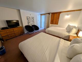 Decatur 1804 by SummitCove Lodging in Colorado - 1