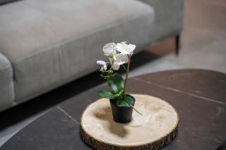 Miklat Private Patio Near Old City By Feelhome - Gerusalemme - 3