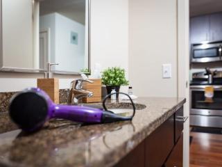 2 Bedroom 2 Bathroom Furnished Apartment Near Rittenhouse apts - 3