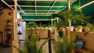 Kasotiya Mansion Homestay - 7