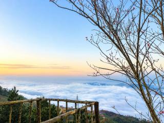 Nhà Của Đậu Tà Xùa - 1