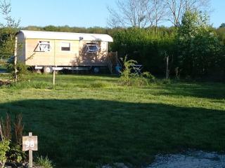 Roulotte avec animaux admis - 4 pers. - API-1-52-2780 - 5