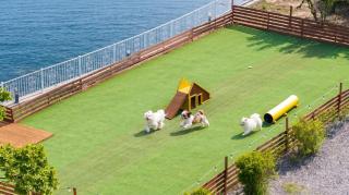 namhae sea stay N pet pension - 4