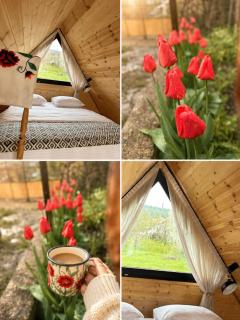 Tasia's Cottage - 6