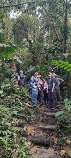 SAMAY FOREST- MASHPI AMAGUSa - 4