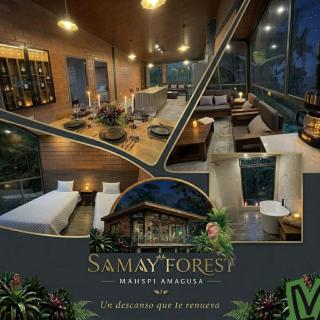 SAMAY FOREST- MASHPI AMAGUSa - 2