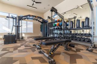 Apex Executive Apartments - 601 Graham Dr TX - 2