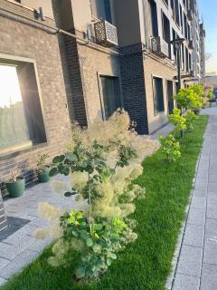 Nrg-Zamon - modern living infrastructure, Tashkent - 4