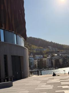Apartment in central Bergen - 6
