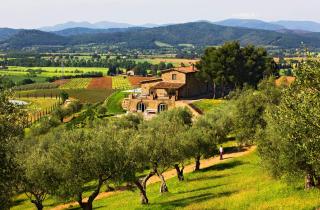 Wine Resort Conti di San Bonifacio - 7