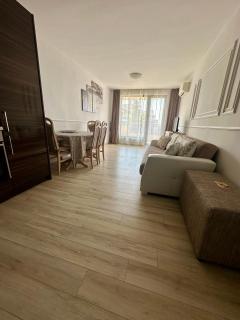 PSB Apartment in Millenium - 1